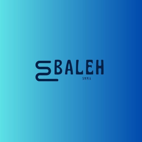 Baleh SMMA — Agence digitale Crémieu